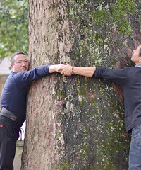 �²�����������