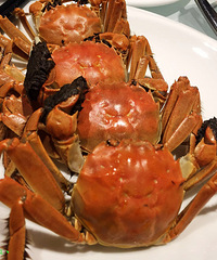 �������� �¶���ʳ��