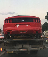 �����ʲô����