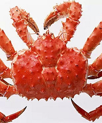 ԭ���ձ�������������з������ô�Ե�...