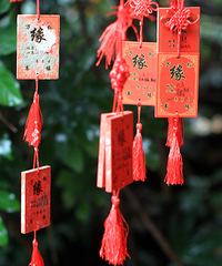 观万松书院祭孔礼,让人错觉时空交替