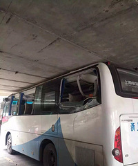 �Ŵ���������