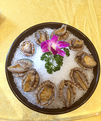 �158������������ѵĺ��ʴ�� �Ե��Ű�