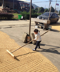 ɹ���ӵ�С�