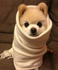 ÿһ�����׵Ķ�����һ������ʦ