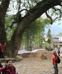 埭头古村经小若岩穿越龙瀑仙洞——华峰