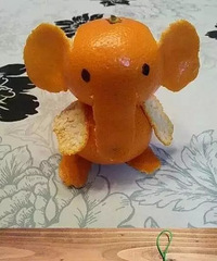 �����ӵ��¾���