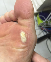 ��ȣ��ŵ׳��˸�����