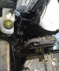 �ҵķ�������ס��һֻ�� ���Ѿ�������һ����