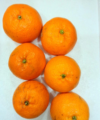 �����磬������Ի���ʾ������