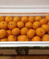 ũ�������е��� ����������ż������