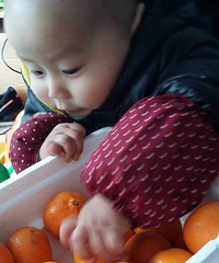 �����������Ѻ���