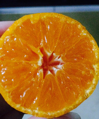 �����磬����ˬ�ڣ�������Ҳ��������