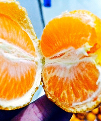 �����۽�����Գԣ������磬����ˬ��