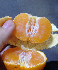 �������۽�����Գԡ��Թ����ǻ��ұ�����