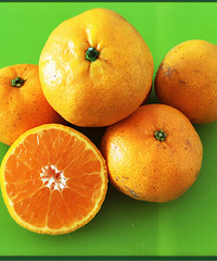 ɹ19¥�õĽ�Ʒ ����