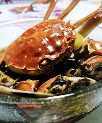 �ϰ�����ӣ�������ԵĶ�����з�ư�����