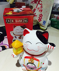 ��������NO.53��ɹһɹ�����û�ù��Ķ���