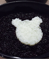 �о����ȵ�