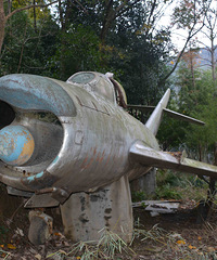 ż��ս����