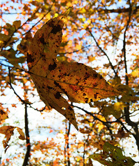 ��Ŀ����������