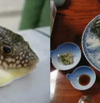 ��Щ�ձ������캣�ʣ���Թ���