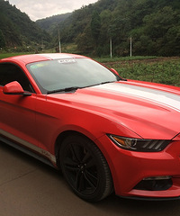 ��ƥ��ɫҰ��˧����