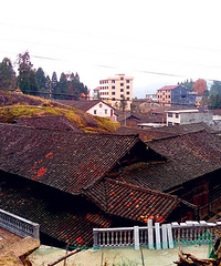 炉美古道,兴发至美岙段风景极其优美