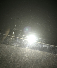 ����ΰ�ǰ�������� Ҫ����