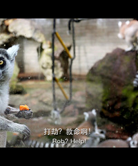 �������ռǡ�·��Ь�������Ь���С��������ĺ��ݶ���԰