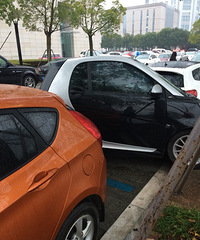 ��С�������� ������ͣ�����ǹ��ҵĸ�����