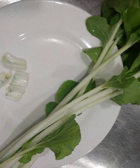 ũҩС�ײ���