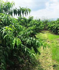 ��2015֮�á�+����ͣͣ��һ·���Ƿ羰��