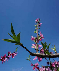 ��2015֮�á�+����ͣͣ��һ·���Ƿ羰��