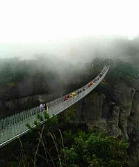 ����һ������