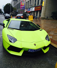 �����ſ�ż���������� ˧ը��