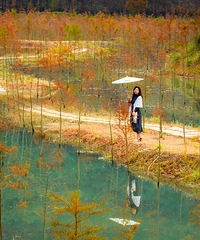 ������ȵĺ����֣�������ױƬƬ