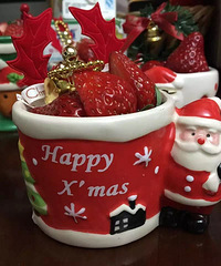 ��ǰ��ʥ������ݮĽ˹����