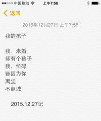 我的2015年总结,人生如戏踏实演绎