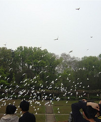 �Ҵ����꣬����ȥ���Ͼ�����