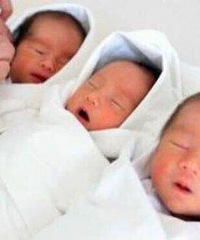 3��̥��3����