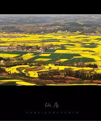 [�ɾ�]����Χ�������й���������top10