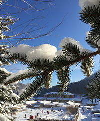 台州-哈尔滨-中国雪乡旅游攻略