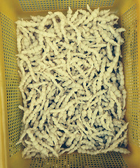 �����ǿ��Գԣ�