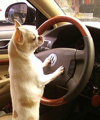 �����ﹷ���ͯ����Ҳ������ ���ǳ�����ô����