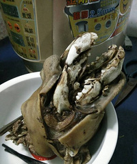 ��˵һ����ͷ��Ÿ��������Ҳ����¿ڣ�