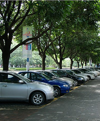 ��Ŀ��һ���Թ� ��ʵ��·Ҫ��ôͣ���Ե�