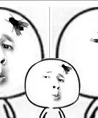 �����복ˡ����� ������������Ч�ľܽ�����