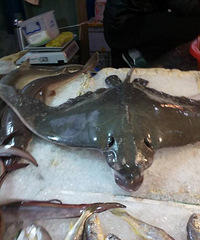 ������߻�������