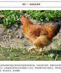 ��֪ʶ | ���ڼ�����9����ԣ��Ҿ���ƭ��20�꣡